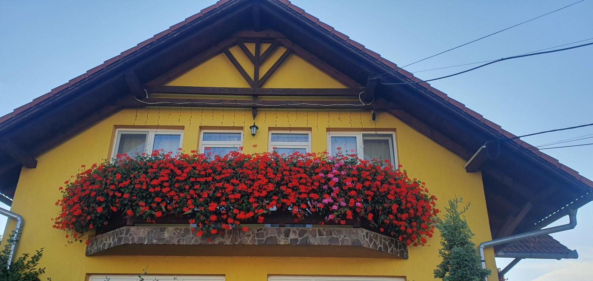 Bed and Breakfast Hazanéző Panzió Corund  Exterior foto